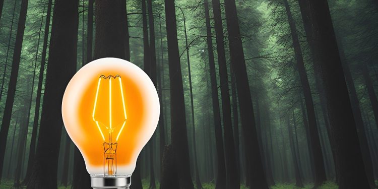 Internet kysyy led lamppu metsässä