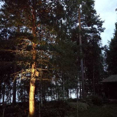 Led maavalo spike valaisemassa ja korostamassa puuta. Valaistus on tunnelmallista ja epäsuoraa. Ledstore.fi