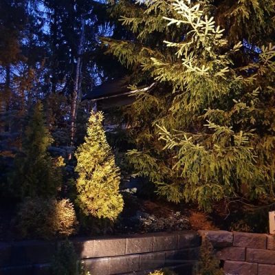 Ulkona maapiikki SPIKE valaisemassa istutuksia ja puuta. Ledstore.fi