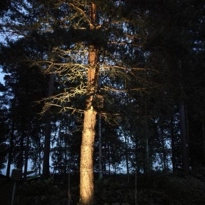 Ulkona puun korostusvalona toimii maapiikki-valaisin. Valaisin on suunnattava. Ledstore.fi