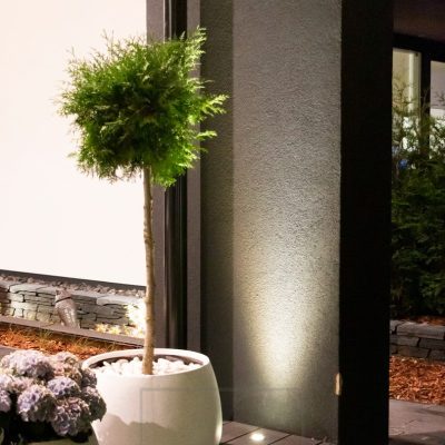 Ylöspäin valaiseva terassiin upotettu spotti käyttää seinää heijasetpintana. Valo myös korostaa kauniisti edessä olevaa kasvia. Ledstore.fi