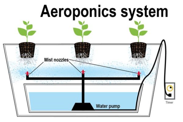 Aeroponics farming