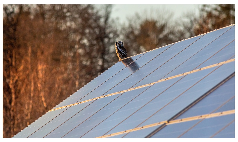 Solpaneler på taket. Foto: Pexels