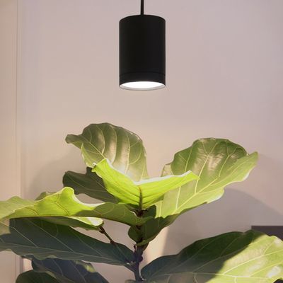 LED KASVIVALO FOKUS, 5-portainen CCT 2700K-6000K, himmennettävä, 30W, IP20, CRI98, mattamusta LED KASVIVALO FOKUS, 5-portainen CCT 2700K-6000K, himmennettävä, 30W, IP20, CRI98, mattamusta
