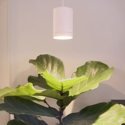 LED KASVIVALO FOKUS, 5-portainen CCT 2700K-6000K, himmennettävä, 30W, IP20, CRI98, mattavalkoinen LED KASVIVALO FOKUS, 5-portainen CCT 2700K-6000K, himmennettävä, 30W, IP20, CRI98, mattavalkoinen