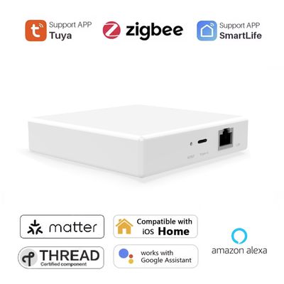 Tuya Zigbee ja Matter Hub
