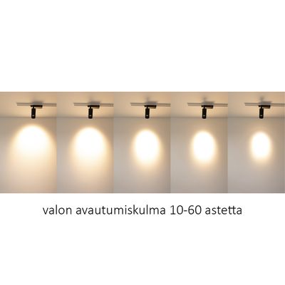 Kiskovalaisin FOKUS valaistuna erilaisilla valon avautumiskulmilla.