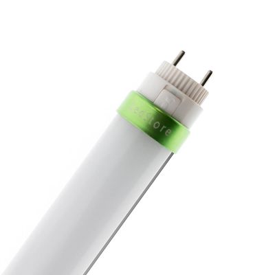 LED PUTKI T8 60cm, 4000K 10W, 1200 luumenia