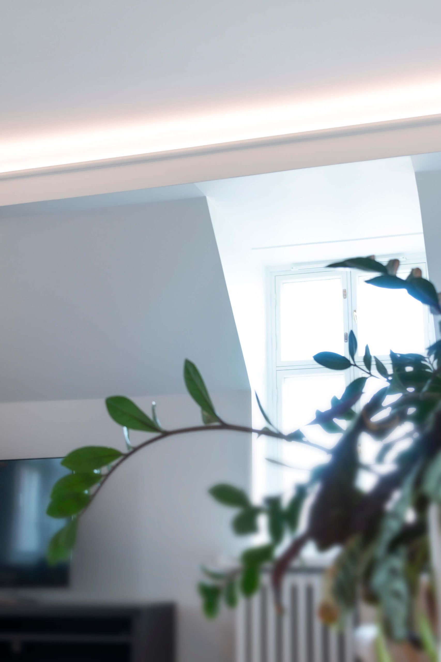 Vihreä tausta valkoisella neliöllä, jossa näkyy "LED STORE" isoilla kirjaimilla, mikä korostaa LED-valaistuksen vähittäiskaupan painopistettä.