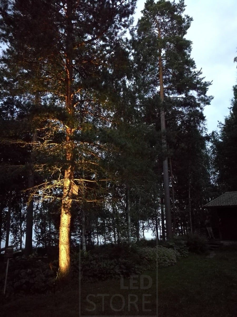 Led maavalo spike valaisemassa ja korostamassa puuta. Valaistus on tunnelmallista ja epäsuoraa. Ledstore.fi
