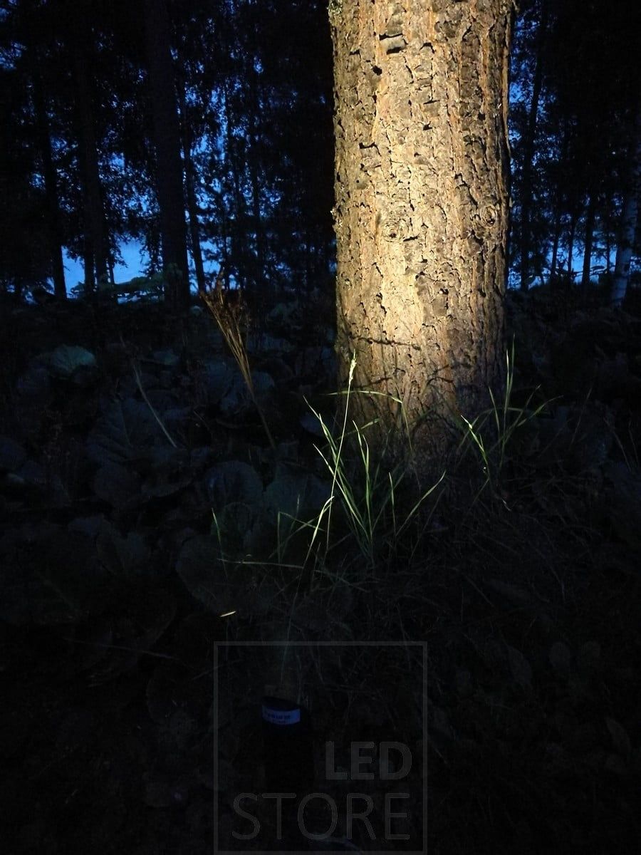 Puuta korostettu suunnattavalla maapiikillä. Ledstore.fi