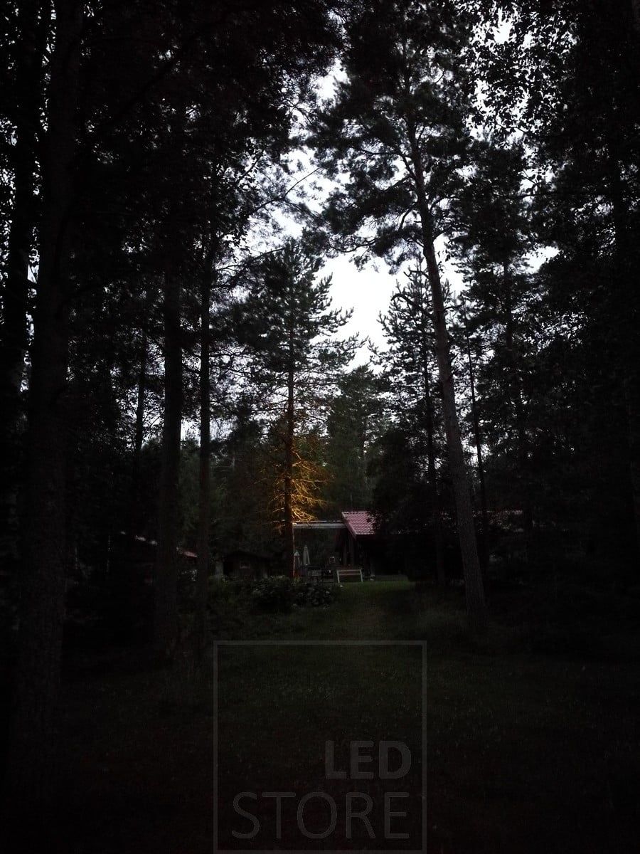 Puun korostusvalo näkyy kauas. Valaisimena käytetty maapiikkiä. Ledstore.fi