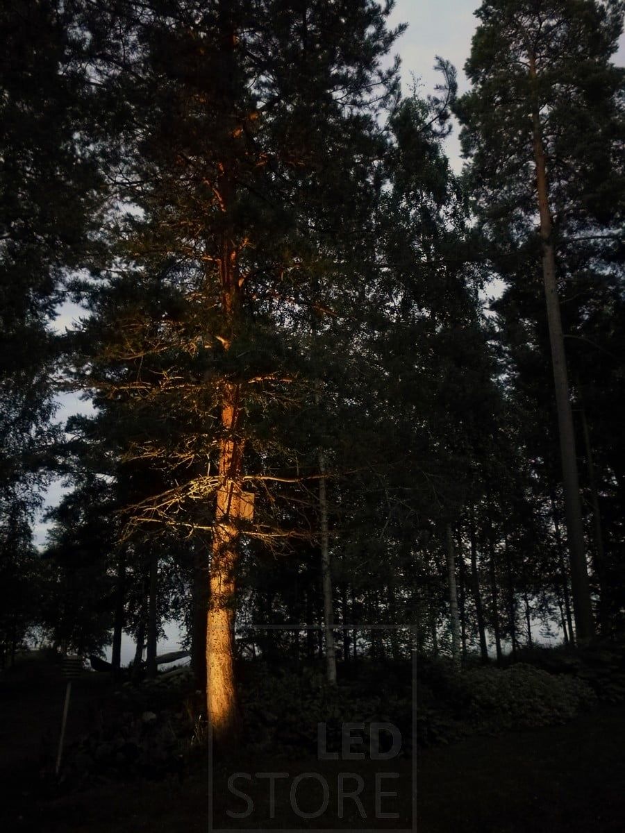 Pihalla puun korostus suunnattavalla maapiikki-valaisimella. Ledstore.fi