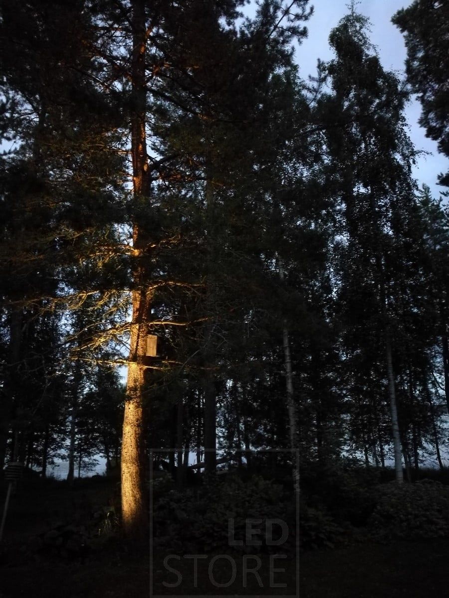 Pihassa puu valaistu maahan asennetulla maapiikki-valolla. Ledstore.fi