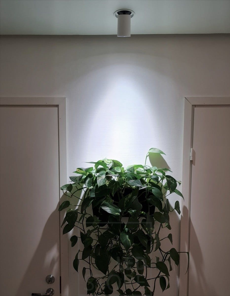 KOLO led spotti suunnattuna kasviin. Toimii kasvivalona hyvän värintoistoindeksinsä ansiosta. Ledstore.fi