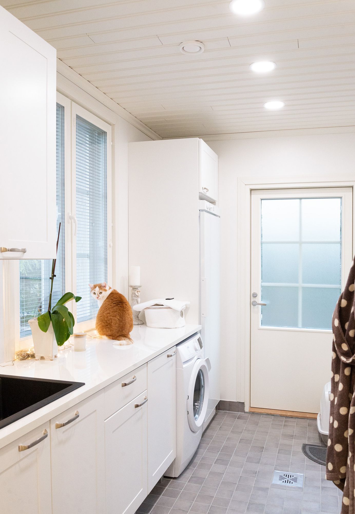 Plafondi valaisimet tuomassa kodinhoitohuoneeseen tehokkaan ja tasaisen valaistuksen. Ledstore.fi
