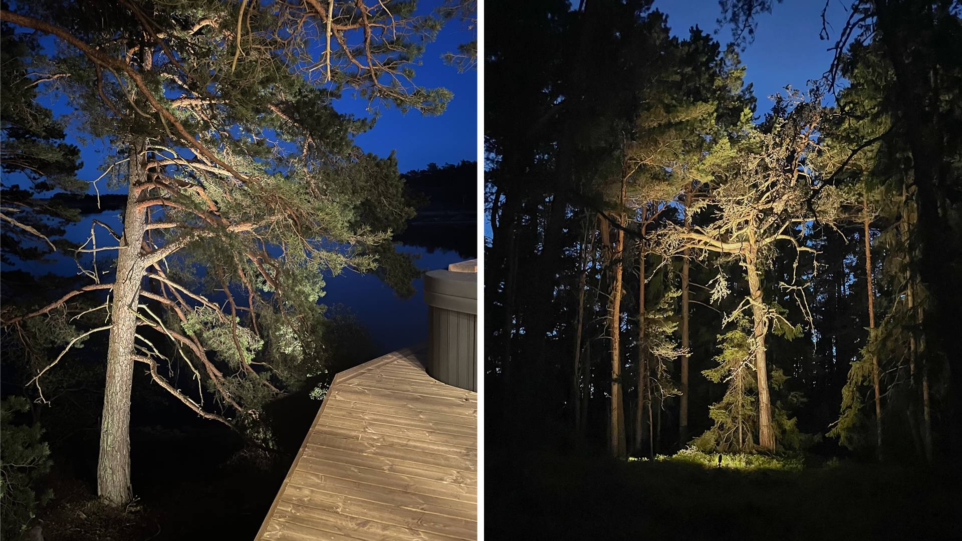 Suuret männyt on valaistu alhaalta ylöspäin heijastevalon aikaansaamiseksi.