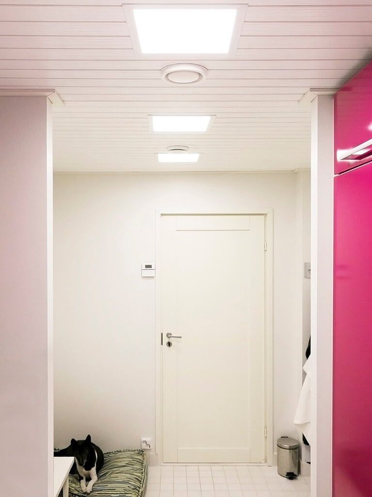 LED Store -logo valkoisella neliöllä ja tekstillä vihreällä taustalla, mikä edistää energiatehokkaita valaistusratkaisuja.